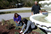 Watch Fix This Yard Season 1 Episode 16 - Jim and Rose Online