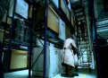 Watch Fringe Season 5 Episode 10 - Anomaly XB-6783 Online
