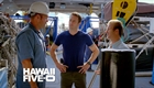 Hawaii Five-0 Season 2 Episode 9