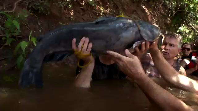 Watch Hillbilly Handfishin' Season 2 Episode 4 - Jersey Shore Noodlers Online