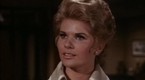 Watch Ironside Season 3 Episode 24 - Good Will Tour Online