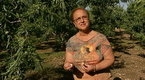 Watch Lidia's Italy Season 3 Episode 26 -  Conquering Cauliflower Online