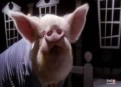 Watch Malcolm in the Middle Season 7 Episode 20 - Cattle Court Online