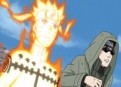 Watch Naruto Shippuden Season 12 Episode 317 - Shino vs. Torune Online