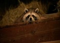 Nature Season 30 Episode 7
