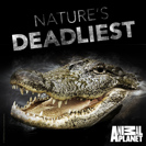 Watch Nature's Deadliest Season 1 Episode 6 - Africa 1 Online