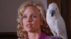 Watch Renegade  Season 5 Episode 21 -  The Maltese Indian Online
