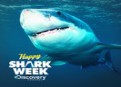 Shark Week Season 5 Episode 2