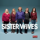 Sister Wives Season 3 Episode 1