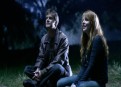 Watch Six Feet Under Season 5 Episode 11 - Static Online