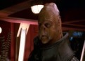 Watch Star Trek: Voyager Season 7 Episode 23 - Renaissance Man Online
