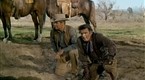 Watch The Big Valley Season 1 Episode 28 - The Midas Man Online