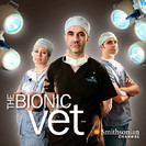 Watch The Bionic Vet Season 1 Episode 4 - Ice and Neo Online