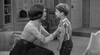 The Dick Van Dyke Show Season 2 Episode 11