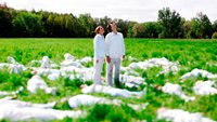 Watch The Great Sperm Race Season 1 Episode 1 - Episode 1 Online