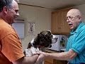 The Incredible Dr. Pol Season 1 Episode 1