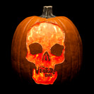 Watch The Venture Bros. Season 5 Episode 1 - A Very Venture Halloween  Online