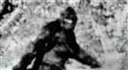 Watch Unnatural History Season 1 Episode 3 - Sleeper in a Box Online