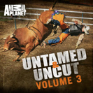 Watch Untamed and Uncut Season 3 Episode 8 - Tiger Attacks Zookeeper Online