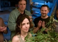 Weeds Season 2 Episode 8