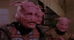 Watch Weird Science Season 5 Episode 16 - Night of the Swingin' Steves Online
