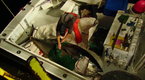 Wicked Tuna Season 1 Episode 4