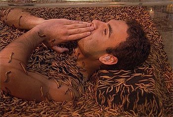fearfactor2.jpg