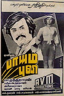 Paayum Puli