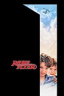 Radio Flyer
