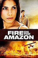 Fire on the Amazon