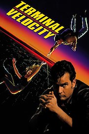Terminal Velocity