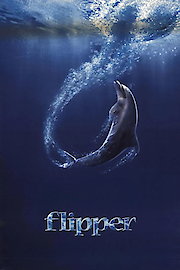 Flipper