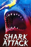 Shark Attack