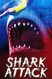 Shark Attack
