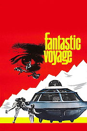 Fantastic Voyage