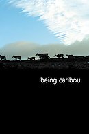 Being Caribou