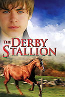 The Derby Stallion