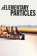 The Elementary Particles