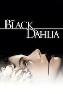 The Black Dahlia