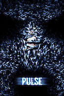 Pulse