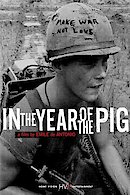 In the Year of the Pig