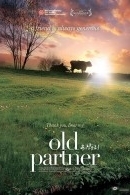 Old Partner