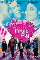 Fruit Fly
