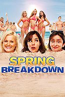Spring Breakdown