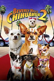 Beverly Hills Chihuahua 2