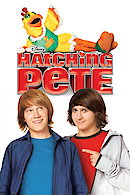 Hatching Pete