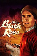 The Black Rose
