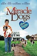 Miracle Dogs