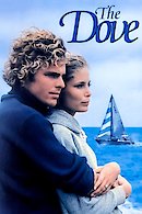 The Dove
