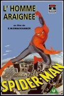 The Amazing Spiderman